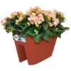 Elho Blumentopf Terrakotta 50x26x29cm 1 Elho Blumentopf Terrakotta 50x26x29cm -Elholly Geschaft 17878f62d0829bc667012fdb8dd7a20b a de 193640g 1