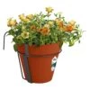Elho Blumentopf Terrakotta 20x28cm Mit Halterung -Elholly Geschaft 432a49c698b4aff60efe47d261119f4f a de 193638g 1 1