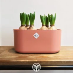Elho Blumentopf B. For Soft Duo Rosa 27x13x14cm 3,7L -Elholly Geschaft 51d27fa04674d8a6a4c15916c11c8b70 de 193654d 2 1 1