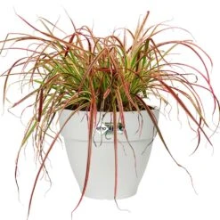 Elho Blumentopf Weiß 35x29cm 18,2L