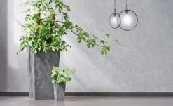 Blumentopf Betonoptik Grau 49L -Elholly Geschaft 6676197c8e319452b55e786939f3d788 de 881771d 1 1 4