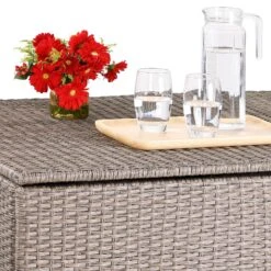 Polyrattan Auflagenbox Creme 318L -Elholly Geschaft 6a1cca6faf89697ddeeba36631df2464 de 108955d 3 1