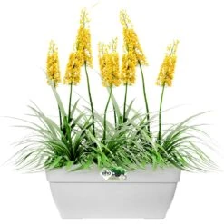 Elho Blumentopf Weiß 80x33x35cm 63L