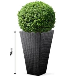Blumentopf Sand Polyrattan-Optik 70x40x40cm -Elholly Geschaft a6ab277f5bbd1912cfbe18cb02089d4d de 880426d 1 1