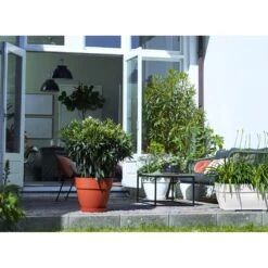 Elho Blumentopf Weiß 80x33x35cm 63L -Elholly Geschaft a85e8c484468cbc19909ce2a22fffba6 de 193675d 4 1