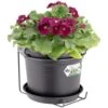 Elho Blumentopf Schwarz 20x18cm 2,5L Mit Halterung -Elholly Geschaft b72fe11d5a9a22e0c2496e92a37b8d56 a de 193661g 1 1