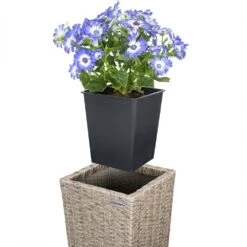 Elholly Geschaft -Elholly Geschaft c74b5984a0c8580ccf254f53a99afe58 de 106646d 6