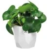Elho Blumentopf B. For Rock Weiß 14x13cm 1,5L -Elholly Geschaft ce50b81f89ba020a00c0c29ce1f59be7 de 193653d 1 1 1