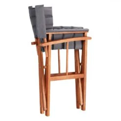 Regiestuhl 2er-Set Cannes Anthrazit Gepolstert -Elholly Geschaft d0b17965c167cda25ac470a683ea30db de 108007d 4 1 1 1