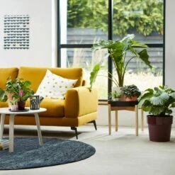 Elholly Geschaft -Elholly Geschaft d5c367867ad7827c41e0d9d78dc60716 de 193651d 4 1