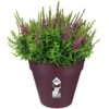 Elho Blumentopf Maulbeere Matt 25x22cm 5,5L -Elholly Geschaft daff52f4dbf925ab4b1e34755a18df96 a de 193663g 1