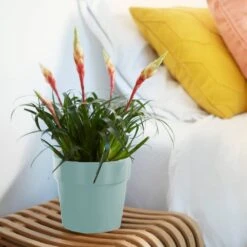 Elho Blumentopf Mint 18x17cm 2,9L -Elholly Geschaft f5cb3d368259f02307261fe6fc3a37fb de 193649d 3 1 1