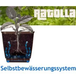 Balkonkasten Ratolla Umbra 39x16x14,5cm -Elholly Geschaft fd05a767246d58b9ca964fad7e2c2334 de 880701d 1 2